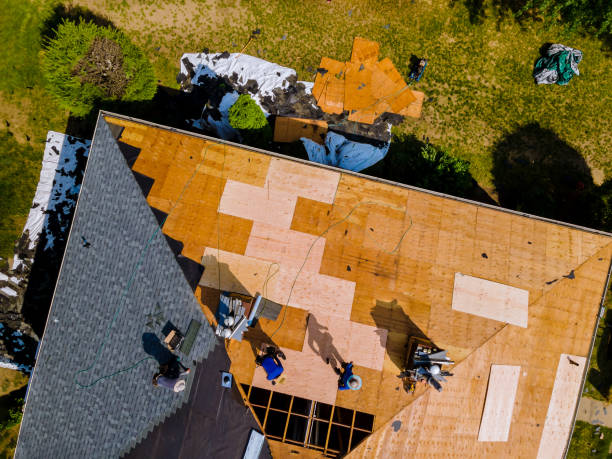 Roof Gutter Cleaning in Walnut Hill, TN